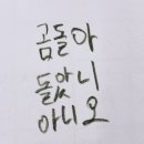 미친캠퍼스