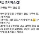 수류탄 때문에 조기퇴소한 예비군 이미지