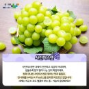 원일농원 | 2024년 화성시 농업기술센터 블로그마켓 심화교육 후기