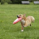 안성맞춤랜드20 이미지