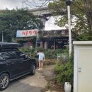 월악산시골밥상 | 충주시 살미면 한식 백반 식당 '시골밥상 약수터집' 간단 후기