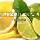 라임 이미지