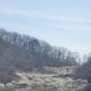 섬진강자전거길1 이미지