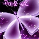 삼족지연 ㅡ이런 인연을 삼족지연 이라 부른다ㅡ 이미지