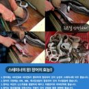 포항 총알오징어&완도산 돌문어&통영산 바다장어 특가판매!!! 이미지