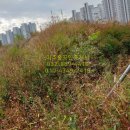 큰산공인중개사사무소 이미지