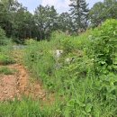 신114공인중개사사무소 이미지