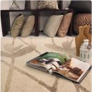 브라운카펫 이미지