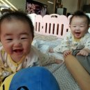 솔솜
