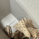 진메디칼솔루션 | 🌿 성인 여드름 화장품 추천! 클린업더마 AC B6 데일리 솔루션으로 트러블 케어 후기