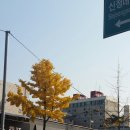 춘양약국 네이버블로그