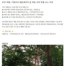 부산 여행, 기장부터 해운대까지 올 여름 가족 여행 코스 추천 이미지