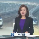 선관위 소나무 이미지