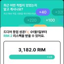 화이트캐빈 | 기장 :: 빌라쥬 드 아난티 캐빈 B 오션빌리지 뷰 숙박 후기 (아난티 화이트 트리 숲, 크리스마스 트리)