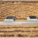 남원장묘나라 이미지