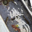 경동레저 | 통영 경동레저 선외기낚시🎣 전어, 고등어, 전갱이까지 손맛 후기🐟