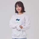 3956 이미지
