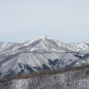 조은사람 이미지