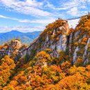 [2026/ 11/ 10(화)] 운악산 구름다리길 단풍산행...노점호 운영자리딩 이미지