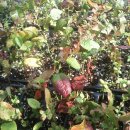 태안농장 이미지