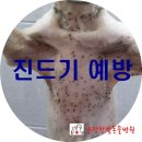 운정한빛동물병원 이미지