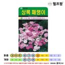 상록팜 이미지