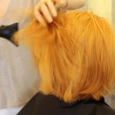 브라운버즈 이미지