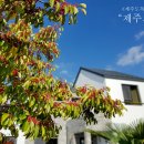 해~랑펜션 이미지