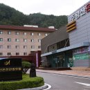 청송솔기온천 이미지