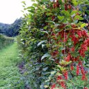 더불어농장 이미지