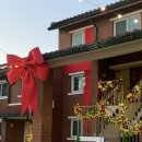 일단지공원 | 크리스마스 빌리지/부분개방부지 장교숙소5단지/주말 후기/포토존 추천/겨울데이트 크리스마스데이트 추천)