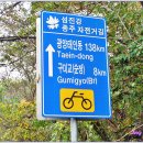 섬진강자전거길2 이미지