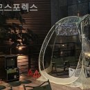 대한스포렉스 이미지