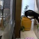 순옥농장 이미지