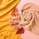 구로동물병원
