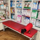 보광동물병원 이미지