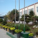 세지중학교 이미지