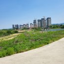 성본3리 이미지