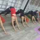 SY 메디칼 이미지