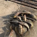 힐링낚시터 이미지