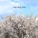 용당문구