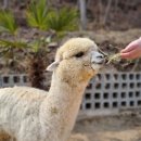 진주다방 이미지