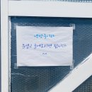 영도투어ㅇㄷㅌㅇ | [부산여행] 흰여울문화마을 - 영도 놀거리 ㅇㄷㅌㅇ 에서 헤나타투, 인도정통헤나
