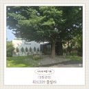 559 | [강원/춘천] 또 가고싶은 강원도 춘천 숙소 아이랑 가기 좋은 가족여행 강원도 숙소 위드559풀빌라 후기