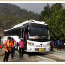 여명식당 이미지