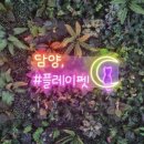 플레이펫