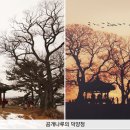곰개나루 이미지