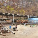 이창재농장 이미지