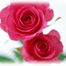 오늘은 음표 이미지