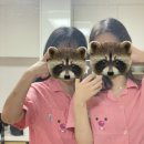 럭셔리 궁 노래연습장 이미지